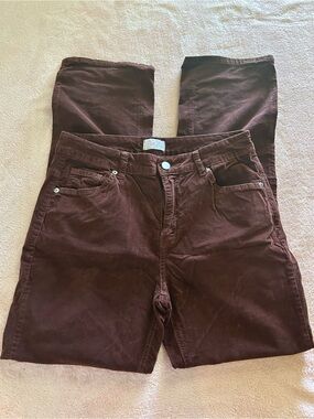Women’s Brown Pants